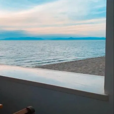 Lido Di ゲストハウス